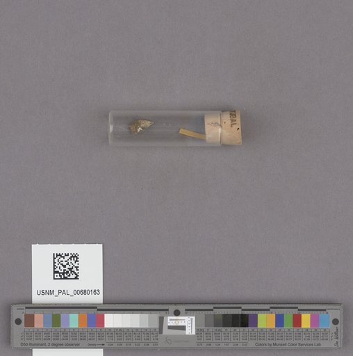 NSF ADBC EPICC TCN