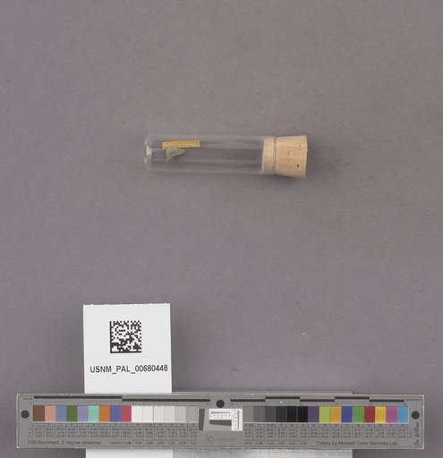 NSF ADBC EPICC TCN