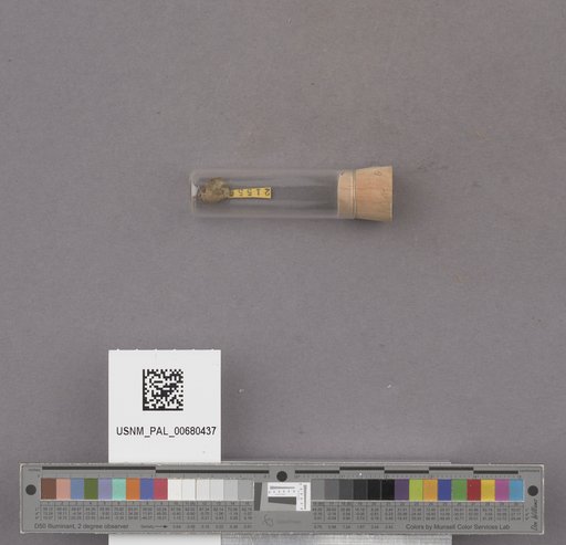 NSF ADBC EPICC TCN