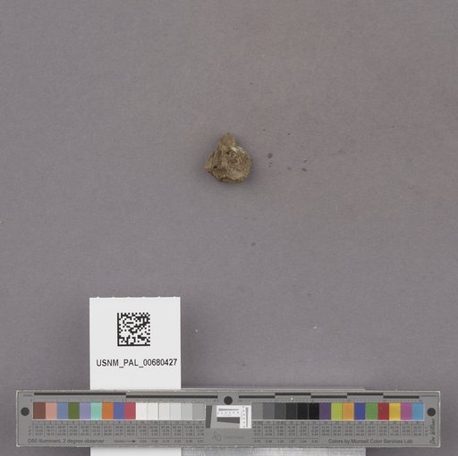 NSF ADBC EPICC TCN