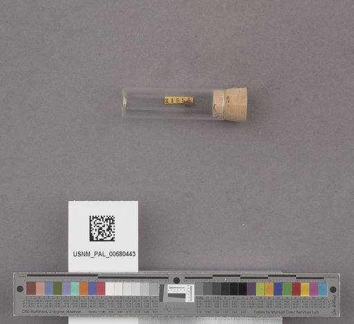 NSF ADBC EPICC TCN