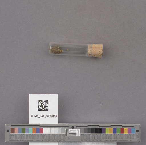 NSF ADBC EPICC TCN