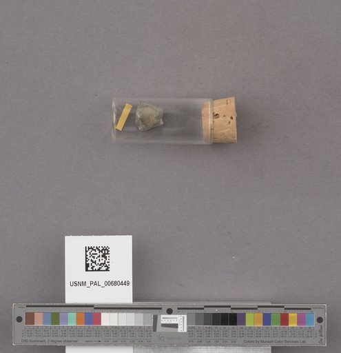 NSF ADBC EPICC TCN