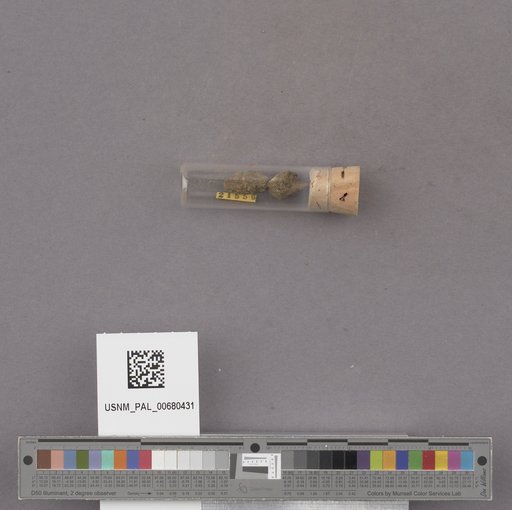 NSF ADBC EPICC TCN