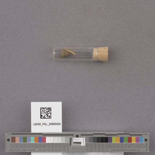 NSF ADBC EPICC TCN