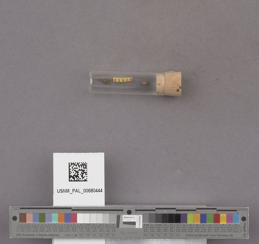 NSF ADBC EPICC TCN