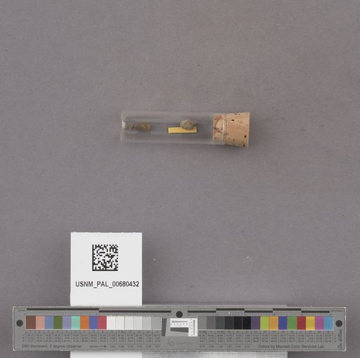 NSF ADBC EPICC TCN