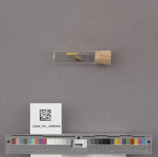 NSF ADBC EPICC TCN