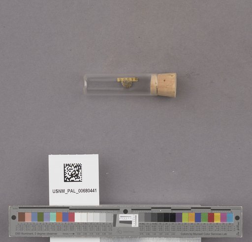NSF ADBC EPICC TCN
