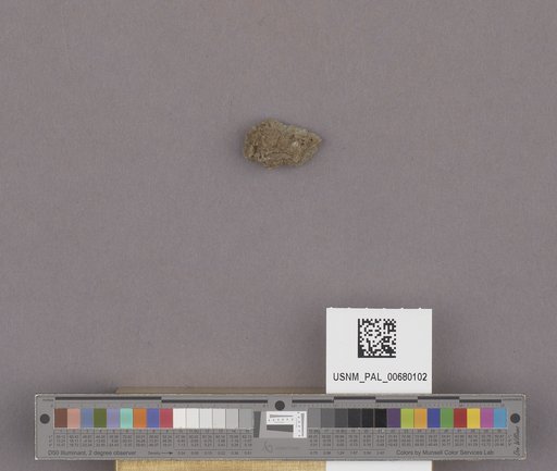 NSF ADBC EPICC TCN