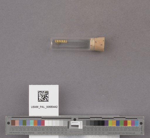 NSF ADBC EPICC TCN