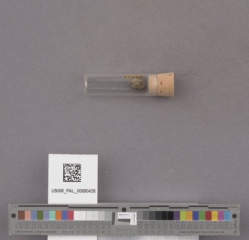NSF ADBC EPICC TCN