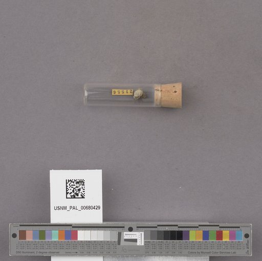 NSF ADBC EPICC TCN