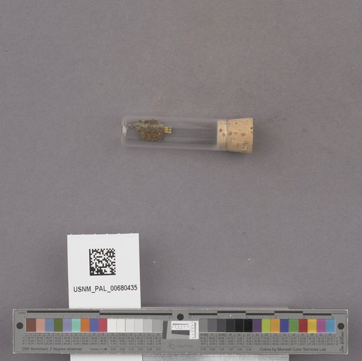 NSF ADBC EPICC TCN