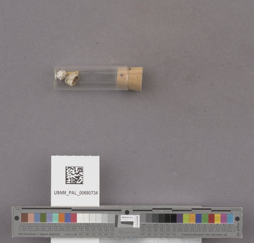 NSF ADBC EPICC TCN