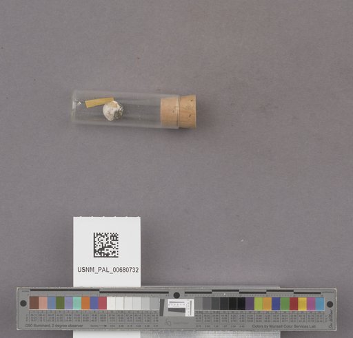NSF ADBC EPICC TCN