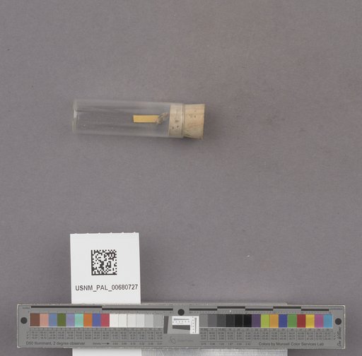 NSF ADBC EPICC TCN