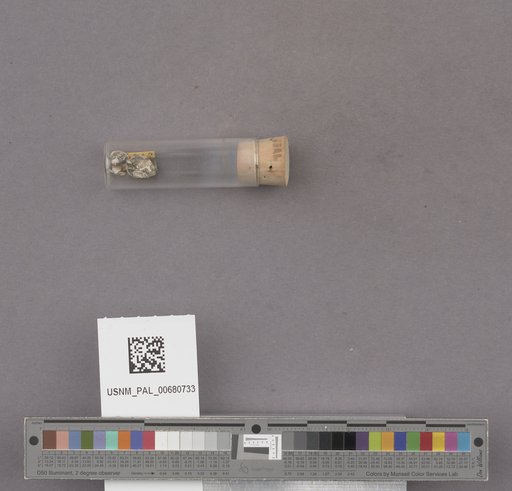 NSF ADBC EPICC TCN
