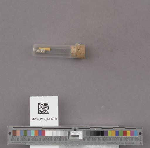 NSF ADBC EPICC TCN