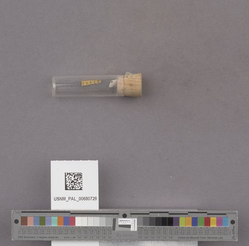 NSF ADBC EPICC TCN