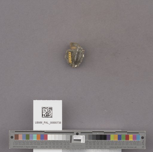 NSF ADBC EPICC TCN