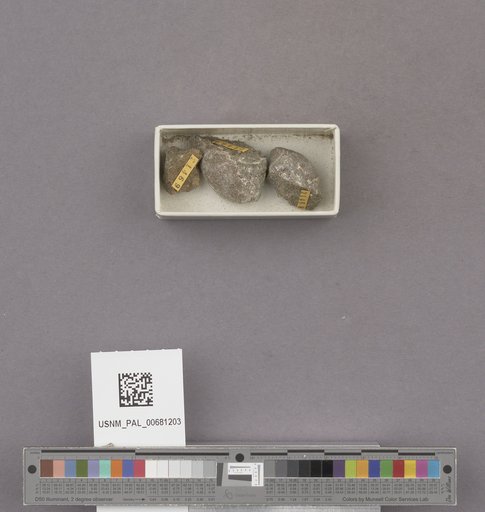 NSF ADBC EPICC TCN