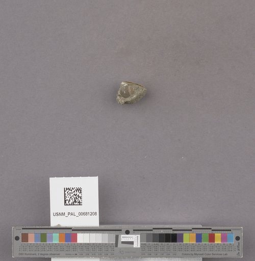 NSF ADBC EPICC TCN