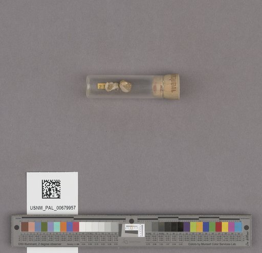 NSF ADBC EPICC TCN