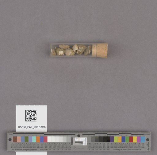 NSF ADBC EPICC TCN