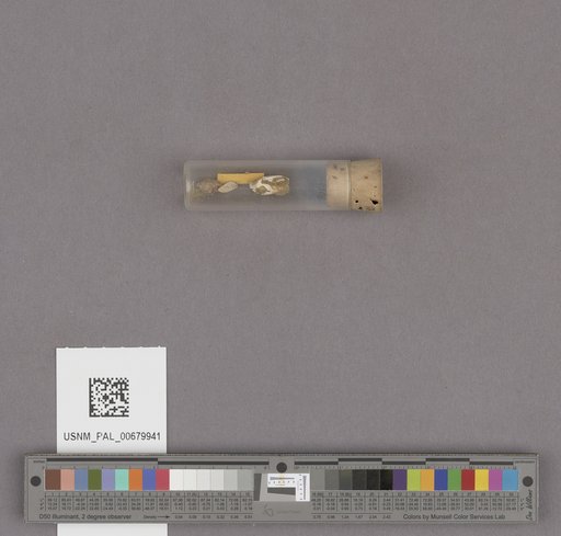 NSF ADBC EPICC TCN