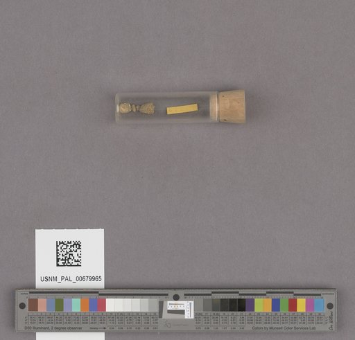 NSF ADBC EPICC TCN