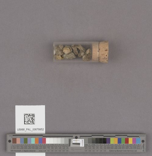 NSF ADBC EPICC TCN