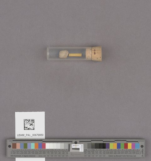 NSF ADBC EPICC TCN