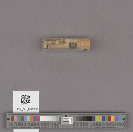 NSF ADBC EPICC TCN