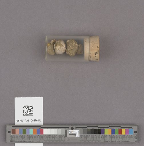 NSF ADBC EPICC TCN