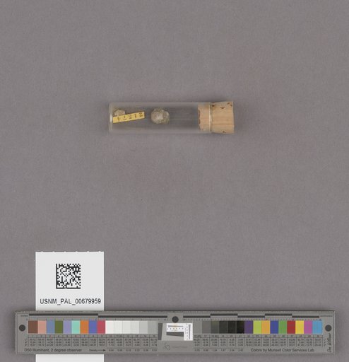 NSF ADBC EPICC TCN