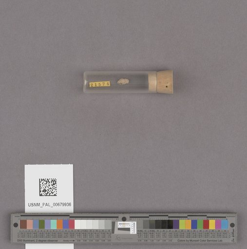 NSF ADBC EPICC TCN
