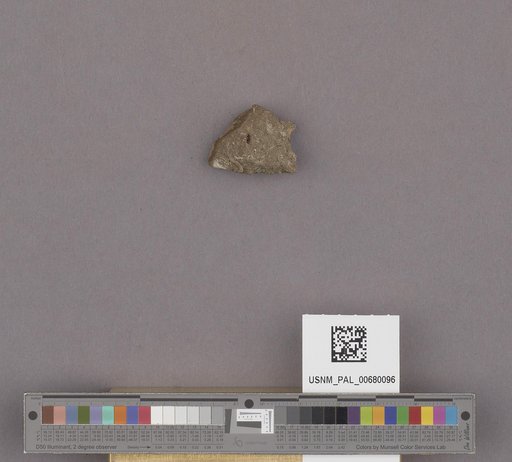 NSF ADBC EPICC TCN