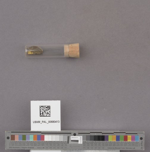 NSF ADBC EPICC TCN