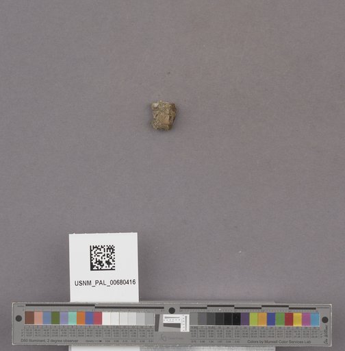 NSF ADBC EPICC TCN