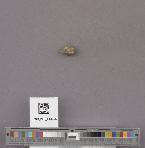 NSF ADBC EPICC TCN