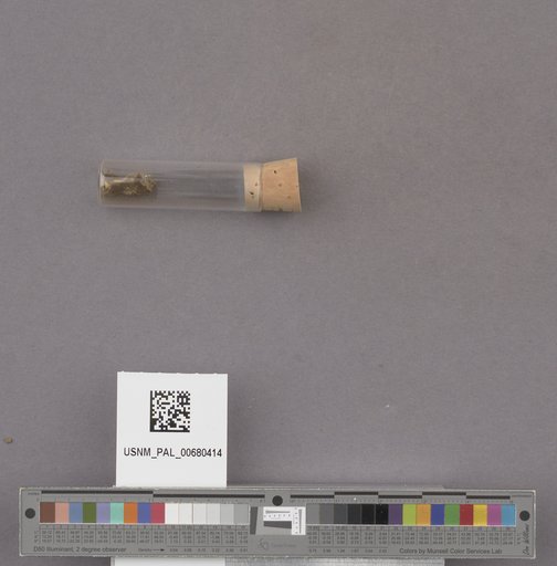 NSF ADBC EPICC TCN