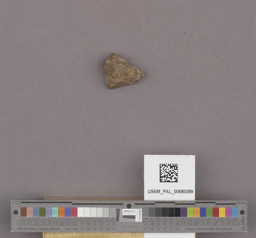 NSF ADBC EPICC TCN