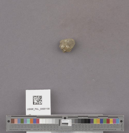 NSF ADBC EPICC TCN