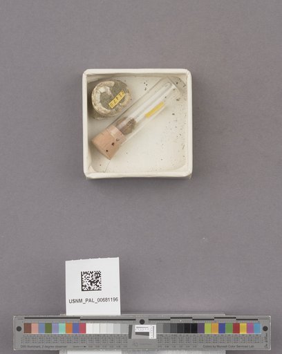 NSF ADBC EPICC TCN