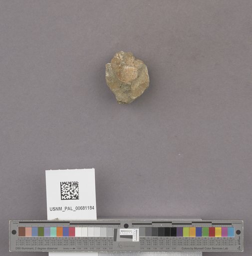 NSF ADBC EPICC TCN