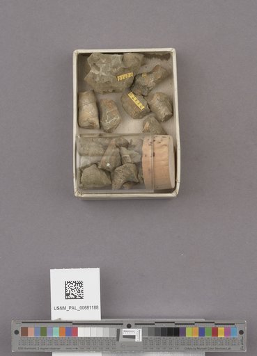 NSF ADBC EPICC TCN