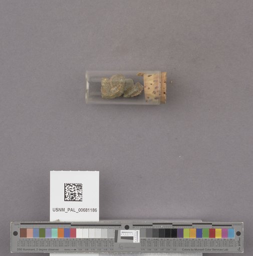 NSF ADBC EPICC TCN