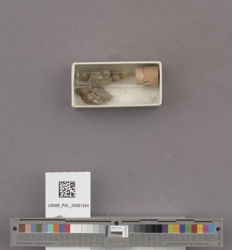NSF ADBC EPICC TCN