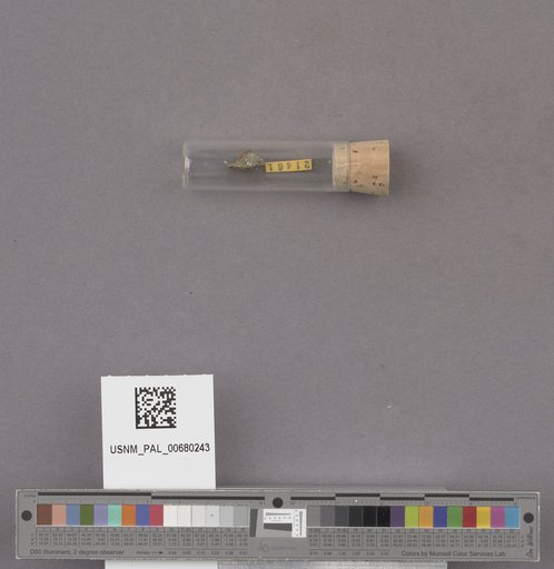 NSF ADBC EPICC TCN